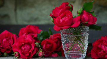 Garden Flowers - 4 simple reasons to grow your own