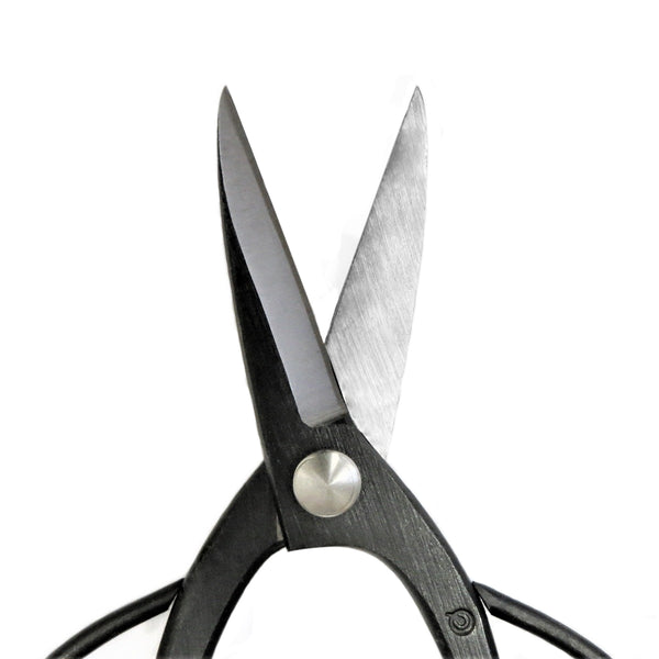 Bonsai Scissors Suwada London
