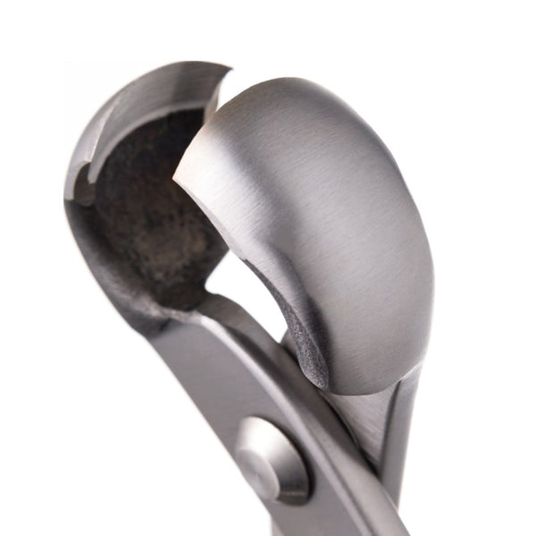 Knob Cutter - Stainless Suwada London