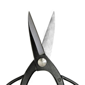 Bonsai Scissors Suwada London