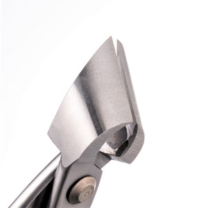 Branch Cutter - Stainless Suwada London