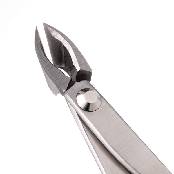 Branch Cutter (Narrow Blade) - Stainless Suwada London